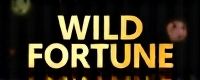wild fortune casino review